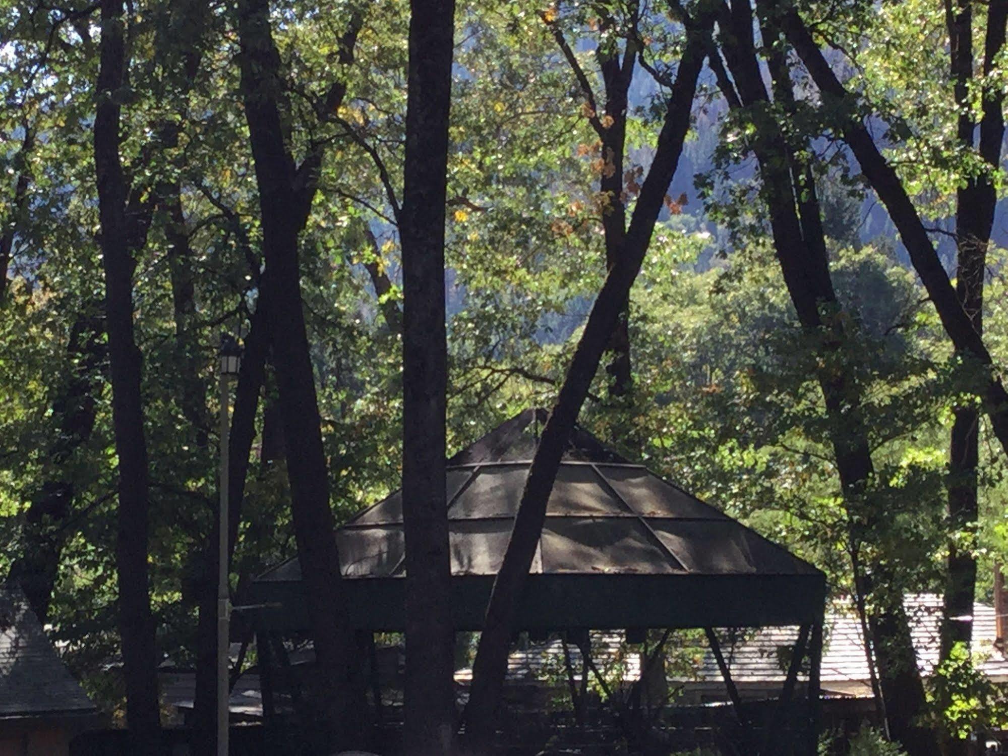 Cedar Lodge Dunsmuir Εξωτερικό φωτογραφία
